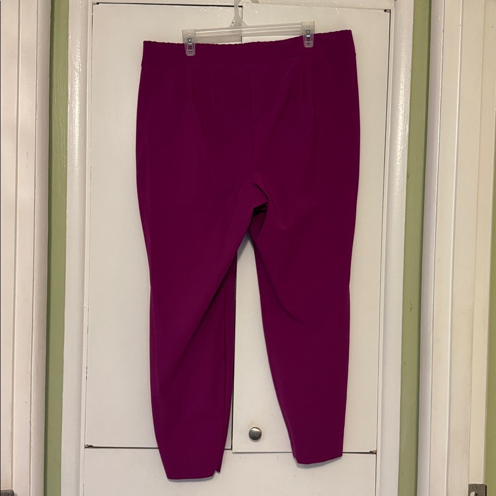 Lane Bryant Fuchsia Pants - Picture 3 of 4
